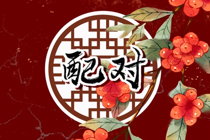 2023年鸡和狗为婚姻嫁娶好年份吗 六害关系感情不稳