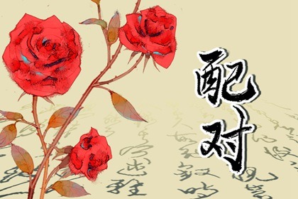 2023年马和猪可以生子吗 偶有矛盾互相包容