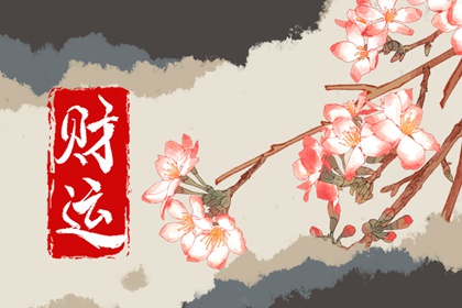什么花放家里旺财旺人 君子兰有君子之风