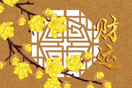 开店养什么植物旺财 客似云来财运旺盛