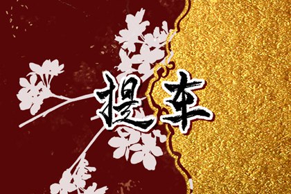 2022年8月20日黄道吉日查询 今日不宜做什么