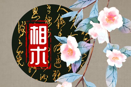 女孩有福相的特征 福气满满事业有成