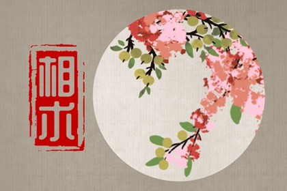 善良积德痣 积德心善福报深厚