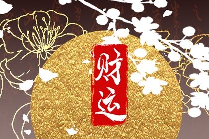 车牌号什么数字财气旺4位数 数字的组合有多种