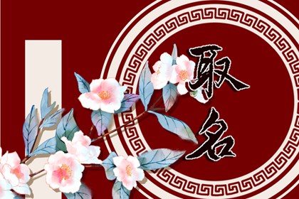 2022年10月19日农历九月二十四出生的新生儿名字合集
