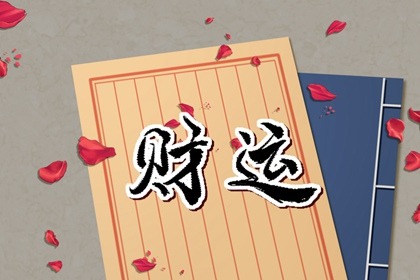 室内摆放什么绿植最旺财 鸿运当头是最佳