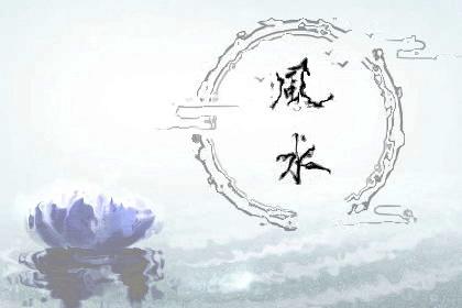 门店聚财的盆栽 讲究风水方位聚财发福