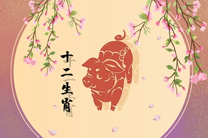 2023年属猪的幸运色和禁忌色分别是什么
