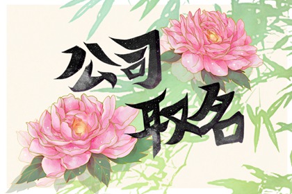 霸气公司取名2023年 精选招财名字