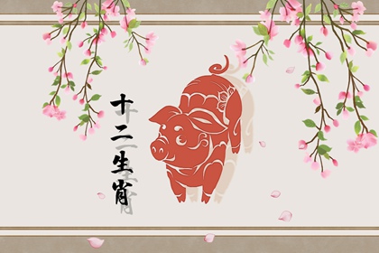 1995年生肖猪女2023 28岁属猪人怎么样