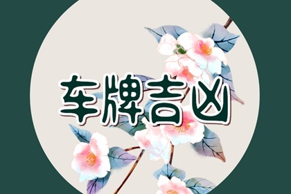 三位数吉祥车牌号大全 寓意好的三位数车牌号