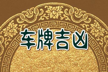车牌号数字越小越好 车牌号偏大不好吗