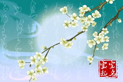 名字叫小年好不好  小年名字很有特色