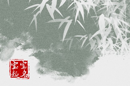 2023年4月兔宝宝男孩取名 简单大气宝宝名字
