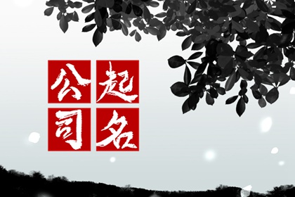 霸气公司名字大全集大气三个字 好听独特的公司名字