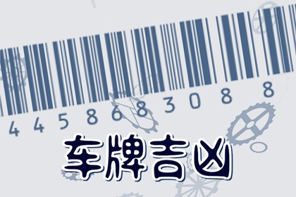 车牌292吉凶 车牌号的含义