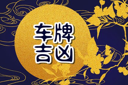 车牌号220吉利吗 车牌号最忌讳哪个数字