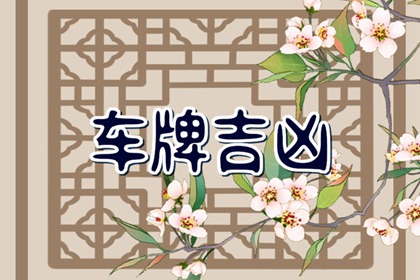 属蛇人忌讳的车牌尾数 属蛇人车牌号怎么选