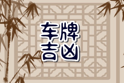 202这个车牌号到底好吗 什么车牌号有好运