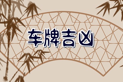 车牌203的寓意 车牌号的选择方式