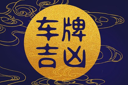 292车牌号的意思 吉利三位数车牌号组合推荐