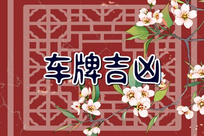 车牌号2928好吗 吉利旺运的车牌号码