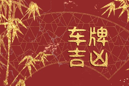 带财运的车牌号 什么车牌号吉利发财