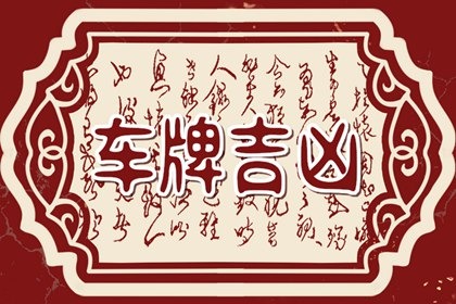 属蛇的车牌号码吉祥数字组合 选择车牌号码技巧和方法