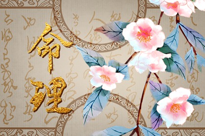 2023年备孕龙宝宝 2023年适合备孕的属相
