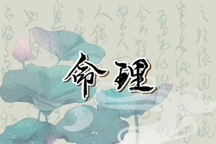 2023年出生的孩子属于什么命 属兔人性格好吗
