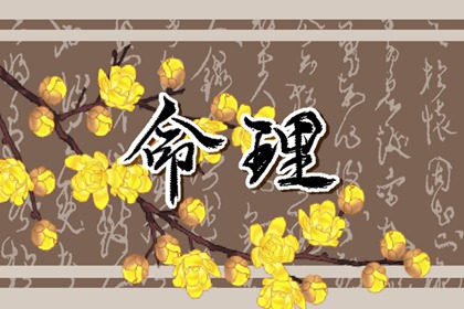 哪个时辰出生的男孩最好命 男孩什么时辰出生命好