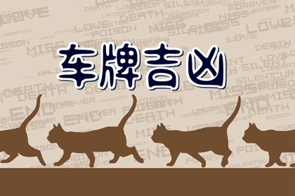 车牌选什么数字和字母好 数字能量学讲解