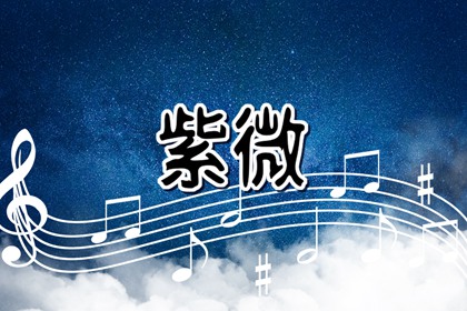 太阴星入夫妻宫 太阴星在夫妻宫详解
