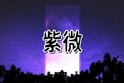 紫微斗数的庙旺得利平陷 紫微斗数入庙落陷