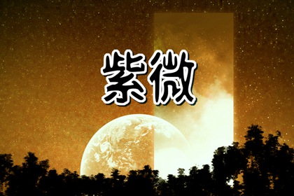 天同独坐巳亥怎么样 天同独坐巳亥宫详解