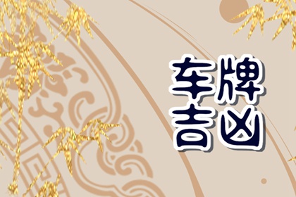 86属虎人车牌吉利字母 86年属虎车牌号怎么选