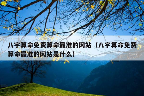 八字算命免费算命最准的网站（八字算命免费算命最准的网站是什么）