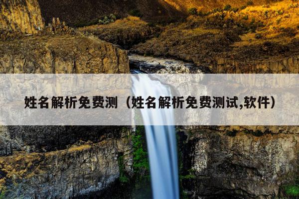 姓名解析免费测（姓名解析免费测试,软件）
