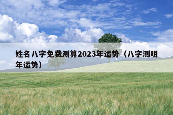 姓名八字免费测算2023年运势（八字测明年运势）