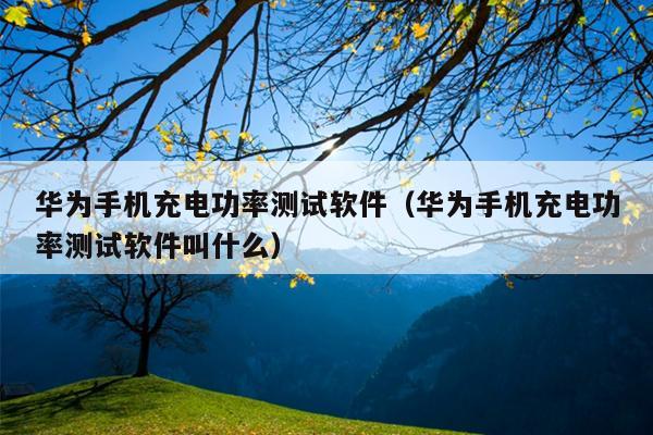 华为手机充电功率测试软件（华为手机充电功率测试软件叫什么）