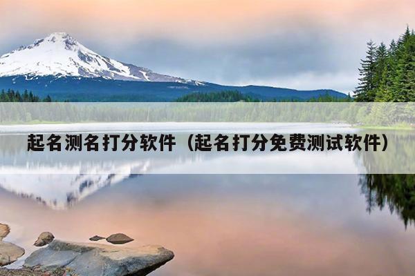 起名测名打分软件（起名打分免费测试软件）