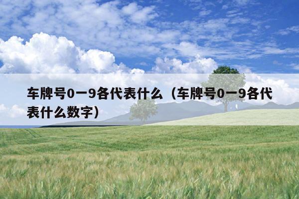 车牌号0一9各代表什么（车牌号0一9各代表什么数字）
