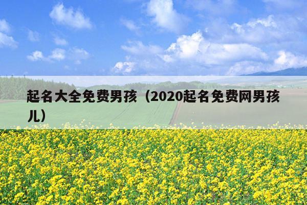 起名大全免费男孩（2020起名免费网男孩儿）