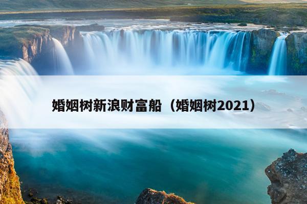 婚姻树新浪财富船（婚姻树2021）