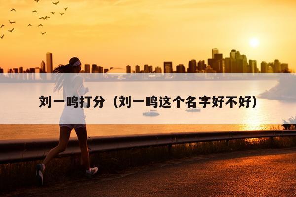 刘一鸣打分（刘一鸣这个名字好不好）