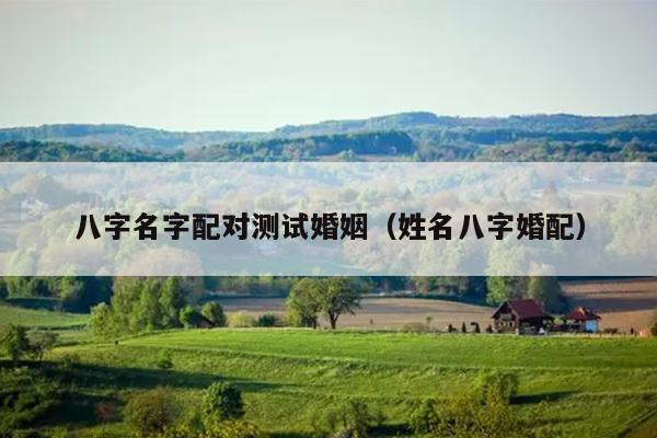 八字名字配对测试婚姻（姓名八字婚配）