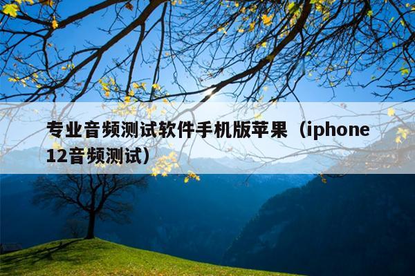 专业音频测试软件手机版苹果（iphone12音频测试）