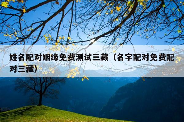 姓名配对姻缘免费测试三藏（名字配对免费配对三藏）