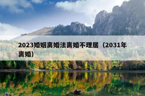 2023婚姻离婚法离婚不理居（2031年离婚）
