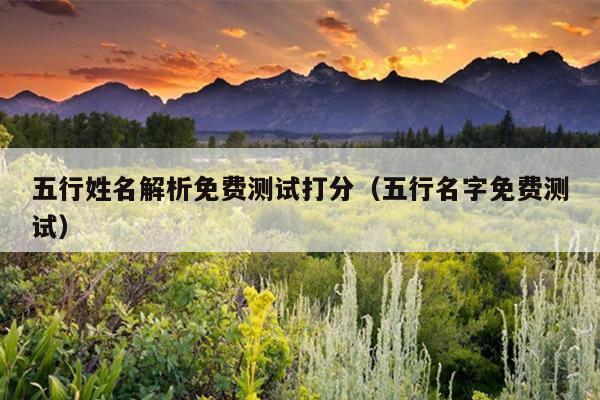 五行姓名解析免费测试打分（五行名字免费测试）
